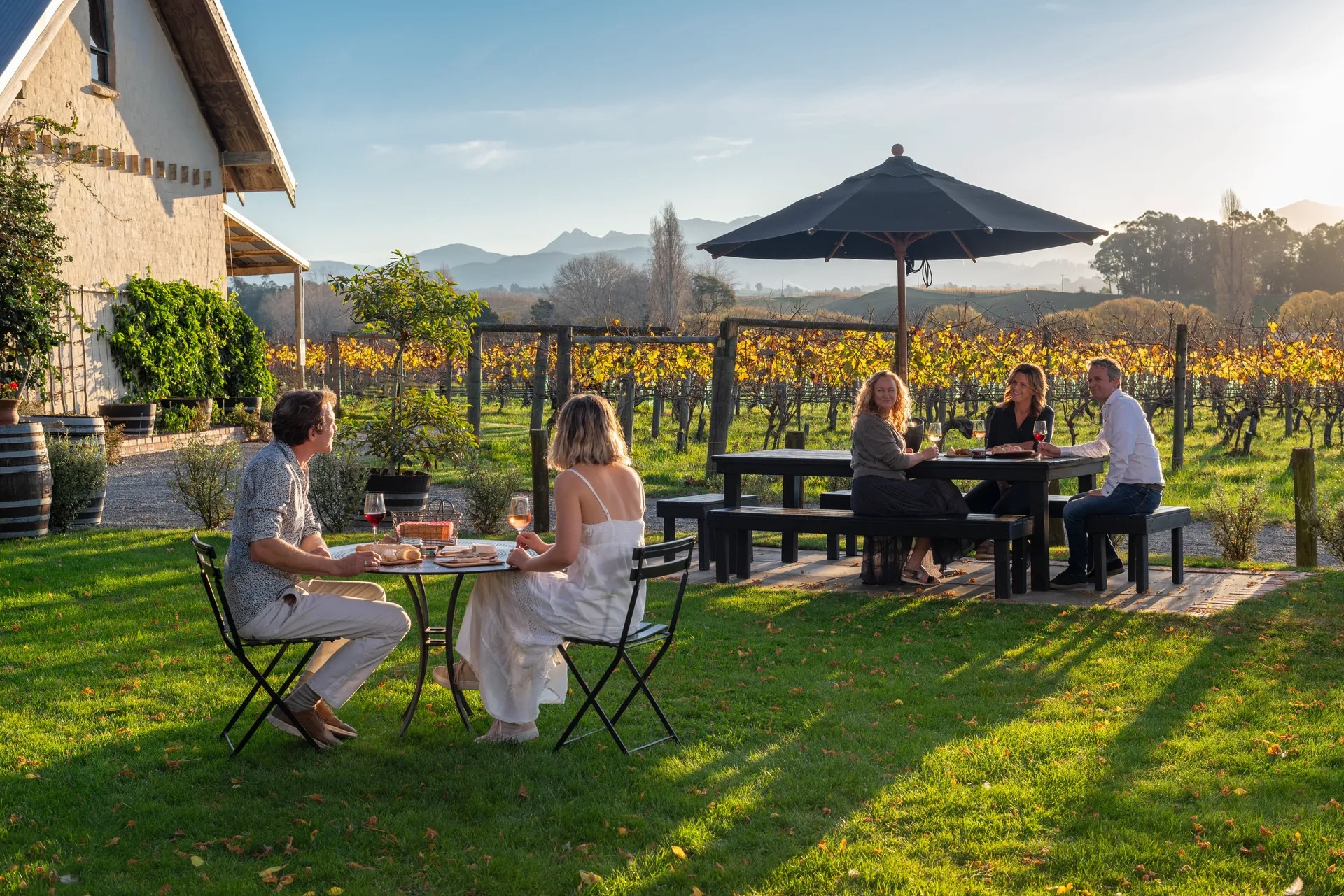 Late afternoon at an Upper Moutere vineyard: two groups sitting at outdoor tables with wine, rows of vines in autumn colour behind them and the ranges beyond.