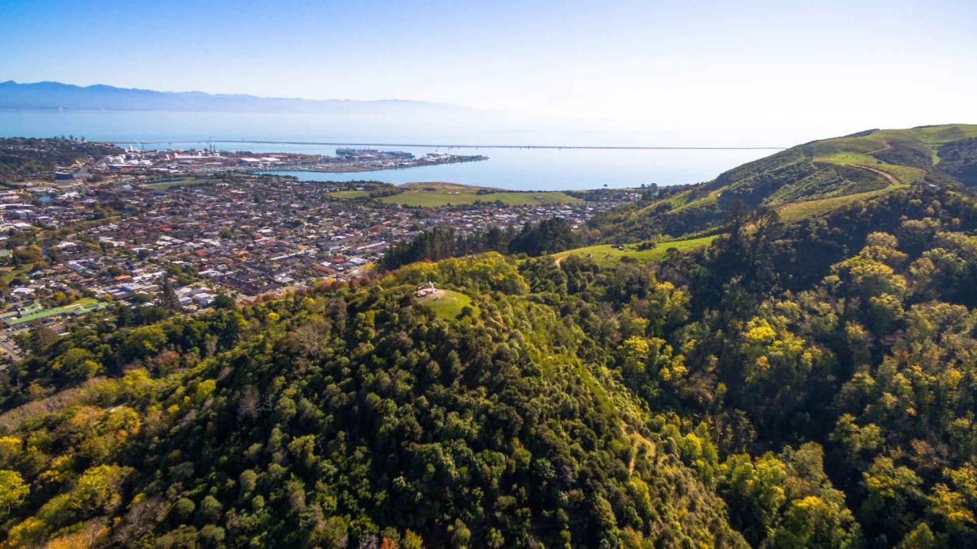 Aerial view over a New Zealand coastal town: streets of suburban rooftops running down to the port and the bay, with bush-covered hills in the foreground.